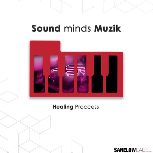 Sound minds Muzik - Healing Process [SNL179]